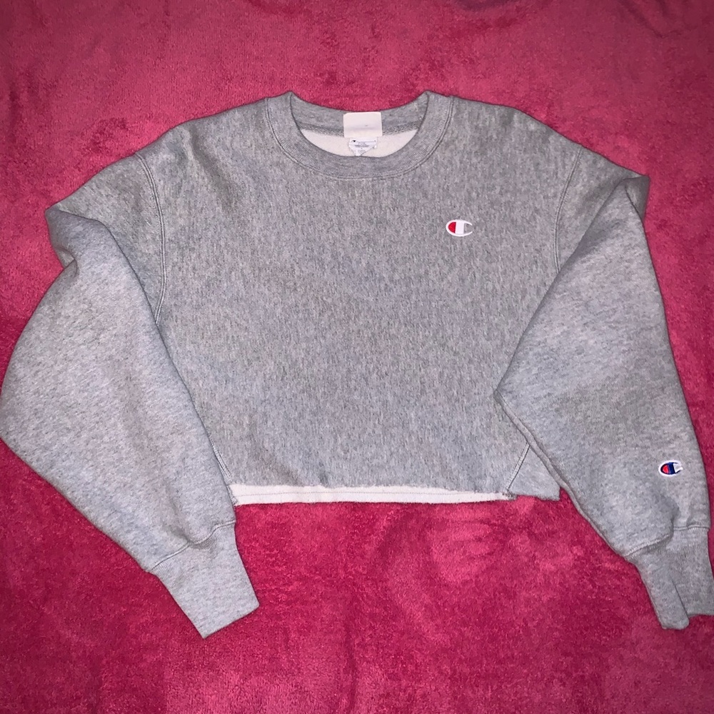 Gray Champion Crop Sweatshirt